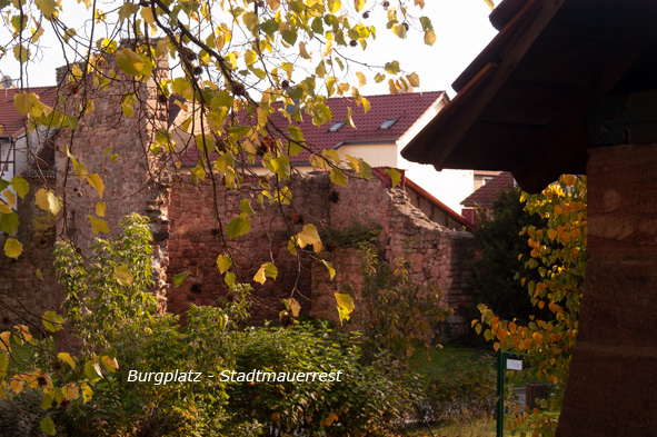 burgplatz_stadtmauerrest_web.jpg